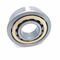 L25-5A Precision Cylindrical Roller Bearing 25x80x21mm Neutral Service
